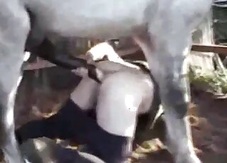 Aroused gay man anal fucked by a horse in brutal action