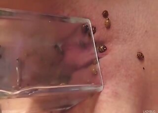 Bitch tries masturbation with bugs crawling on her clit and pussy