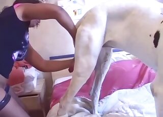 Harsh homemade Latina dog porn in perfect angles