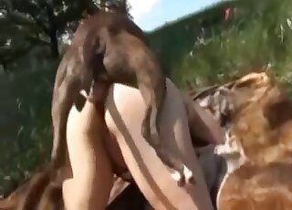 Big ass wife tries anal with a dog in outdoor zoo perversions