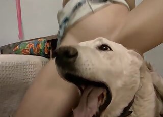 Furry mutt grants both bitches the best zoo porn moments