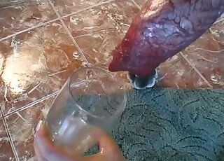 Hot lesbos drink dog sperm after trying sex with the animal