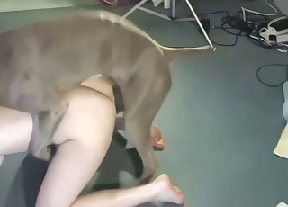 Amateur blonde slut spreads legs for her dog to lick that pussy