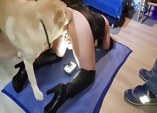 Leather boots lady getting boinked by a dirty dog from behind here