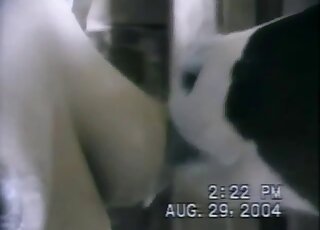 Black and white animal licking all over those boobies in a fetish vid