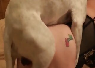 White dog using penis to fuck this lady up from behind and It's hot