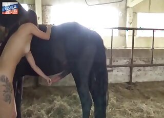 Russian blonde with nice body is going to get fucked by a black horse