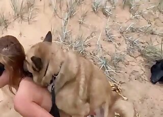 Chick in a black mask lets this dog fuck her in the middle of nowhere