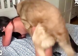 Black mask babe is going to get fucked by a furry dog on all fours