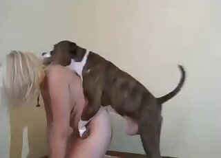 Girl with natural tits and a bit of a belly gets fucked by a beast