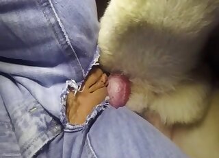 Ripped jeans babe is getting fucked from behind by a dirty mutt