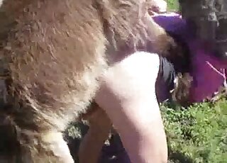 Animal penis gracefully slides inside a zoophile's pussy from behind