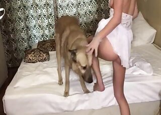 Gorgeous girl with a juicy pussy is getting banged by a sexy beast