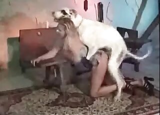 Massive white dog hammers wet twat of a blond chick from behind