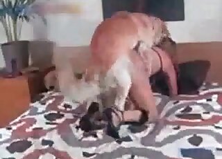 Blond chick enjoys doggy-style sex with her dog during XXX zoo porn