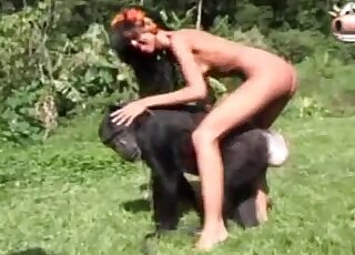 Zoophile slut does her best to seduce a monkey for some zoo porn