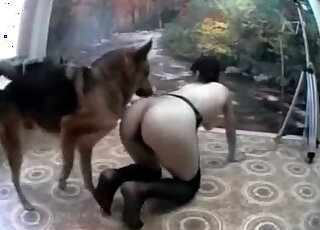 Aroused brunette seduces her dog to fuck her from behind at home