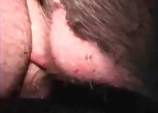Perverted stud's as gets banged by a pig's shaft in XXX zoo porn