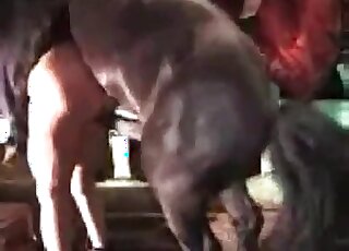 Chubby whore gets fucked hard from behind by a horse in zoo porn