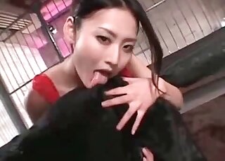 Red fishnets Japanese babe is not above eating this dog's asshole