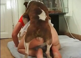 Dark-haired chick masturbates on all fours before letting the dog in