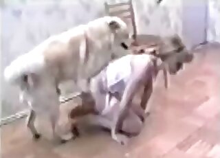 White fur dog is going to fuck an innocent, pale-skinned teen