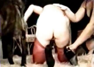 Furry animal fucking a hottie in red stockings in a compilation vid