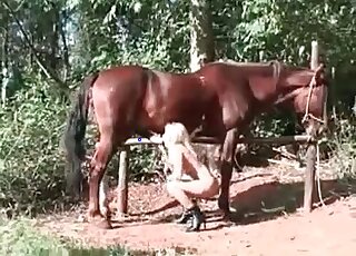 Hot blondie with a cute face licking all over the stallion's penis