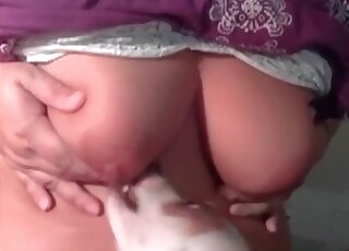 Big boobs mature lets this dog lick her boobies in a kinky home vid