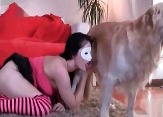 Dog's cock is getting shamelessly grabbed by a white mask zoophile