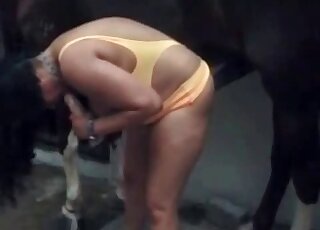 Fat brunette is sucking a dildo, while stuffing horse's dick in her pussy