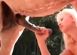 Animal cock addicted chick jerks off and sucks a stallion’s pecker
