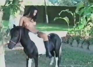 Cum-thirsty cowgirl fills her mouth with a stallion’s massive pecker