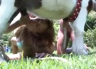 Bitchy hottie wanks pony’s cock and shoves it in her pussy