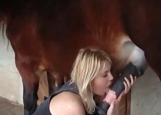 European blonde doesn’t mind sucking and riding a horse’s dong
