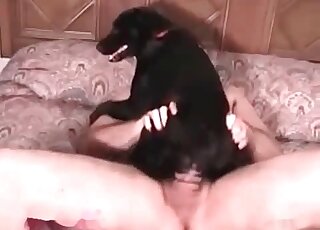 Nasty dude fucks a black dog deep and hard in a zoo scene