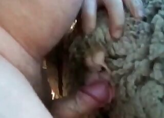 Guy fucks a sheep and gets orgasmic pleasure in a zoo scene