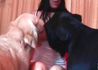 Crazy masked bimbo gets screwed incredibly rough by two big canines