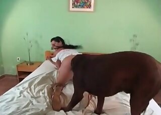 Nasty girl invites her dog to have some zoo fun in her bedroom