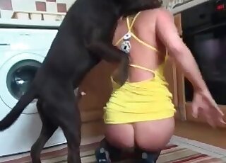 Naughty vixen enjoys zoo fucking with a black dog on cam