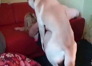 Mature wife in a mask shows zoo sex with her dog in a closeup video