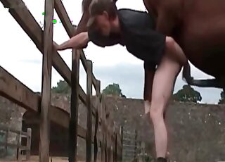 Perverted guy makes a huge stallion fuck his asshole outdoors