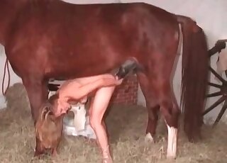 Perverted female slut gets anal torn apart by stallion’s massive dong