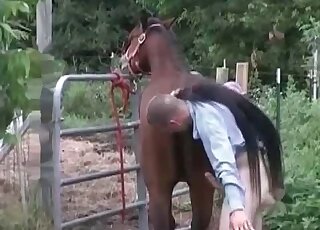 Perverted male bangs a horse really rough in a beastiality porn scene