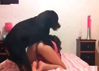 Trained dog can’t wait to fuck adorable pink twat of a lovely chick