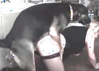 Dog Whore Tumblr