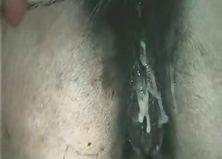 Zoophile guy fucks a horse and licks its ass in a wild zoo porn action