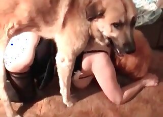 Filthy mature bitch gets fucked by her dog while sucking her BF’s