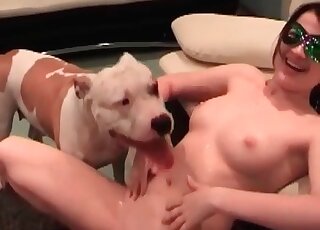 Spoiled MILF likes the way her dog touches her pussy with its tongue