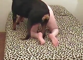 Guy wanks to the canine and gets his ass screwed really rough